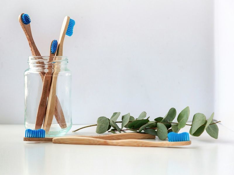 Toothbrushes and eucalyptus arranged for a cosmetic dentistry and whitening feature